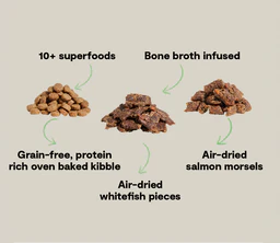 Epic Blend Salmon & Superfood Grain-Free Dog Kibble - Image 4
