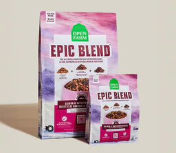 Epic Blend Salmon & Superfood Grain-Free Dog Kibble - Image 6