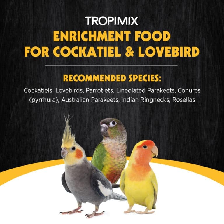 Hagen Tropimix  Premium Enrichment Food for Cockatiels & Lovebirds - Image 3