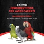 Hagen Tropimix  Premium Enrichment Food for Large Parrots - Image 3