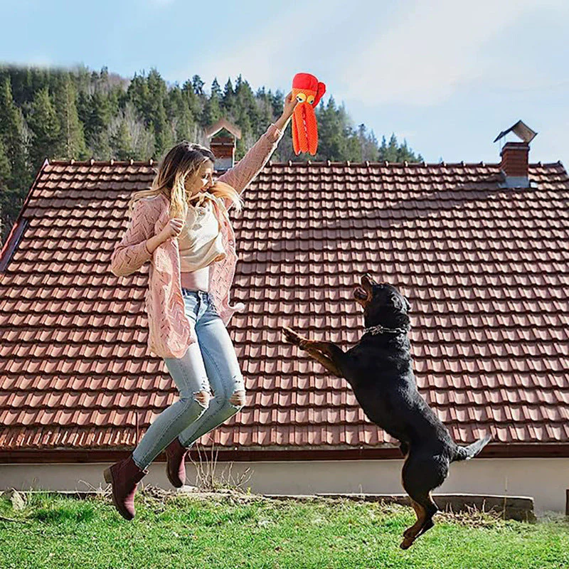 Octopus Plush Dog Toy with Squeaker & Crinkle – Interactive Soft Chew Toy - Image 3