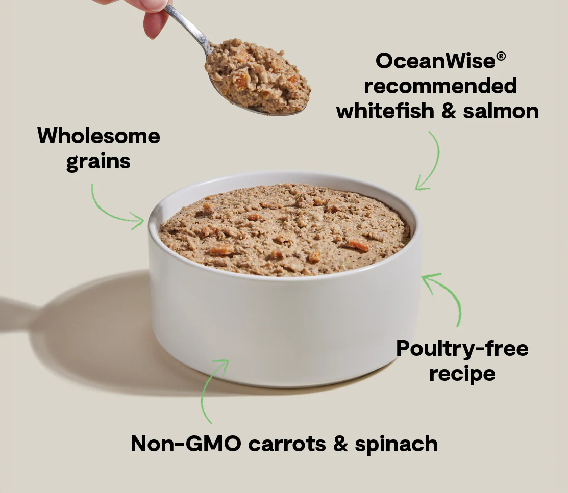 Open Farm Goodbowl™ Wild-Caught Whitefish & Salmon Pâté for Dogs - Image 5