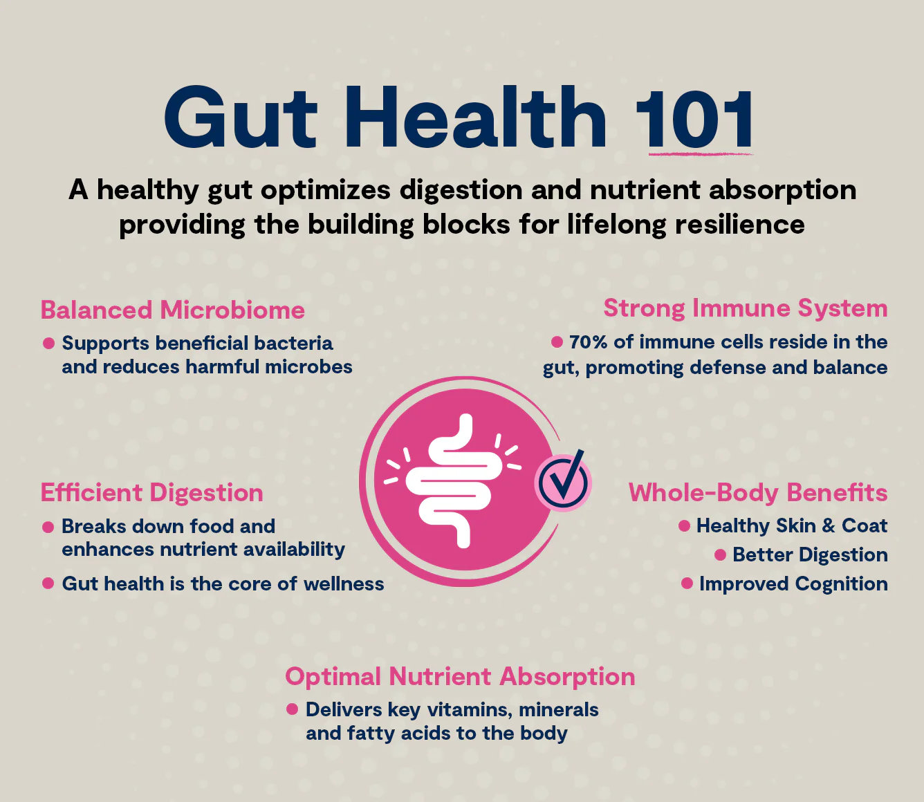 Open Farm GoodGut Grass-Fed Beef Dog Kibble - Image 3