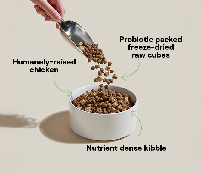 Open Farm GoodGut Harvest Chicken Dog Kibble - Image 3