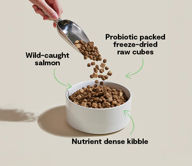 Open Farm GoodGut Wild-Caught Salmon Dog Kibble - Image 4