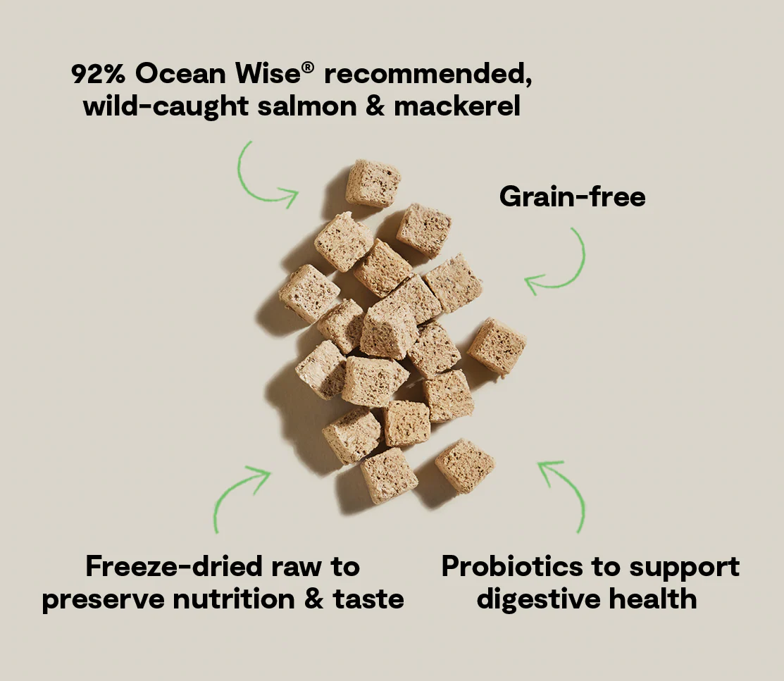 Open Farm Salmon & Mackerel Kitty Cube Treats for Cats - Image 4