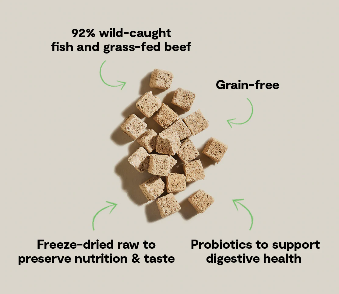 Open Farm Surf & Turf Kitty Cube Treats for Cats - Image 4