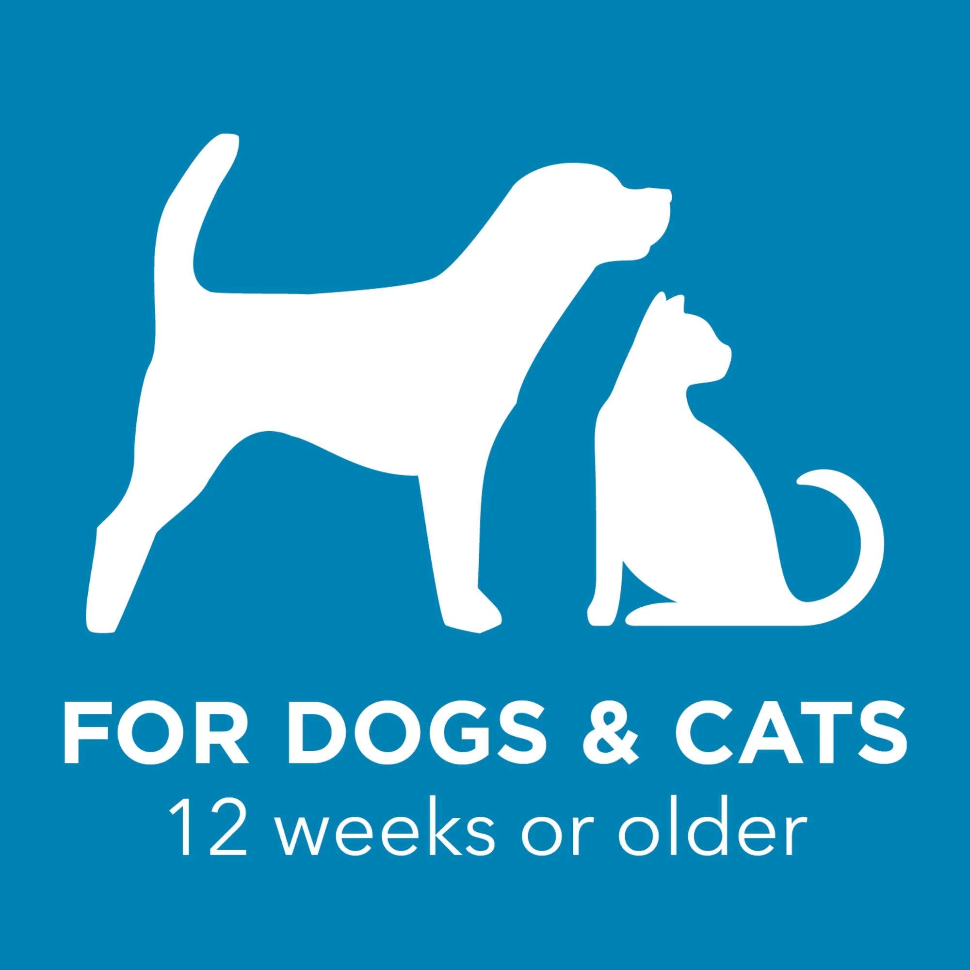 TropiClean TropiClean OxyMed Restore Paw Pad Lotion for Pets - Image 6